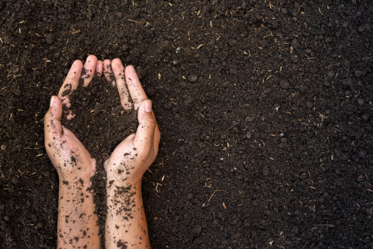 two hands holding and lifting fertile soil
