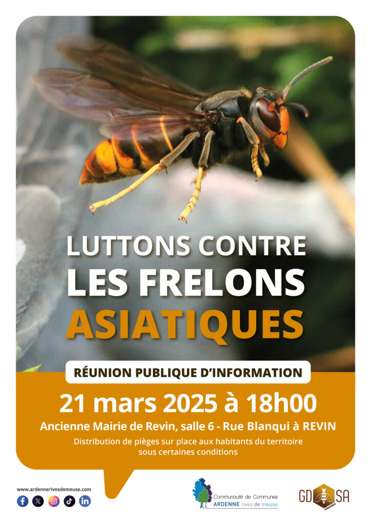 affiche frelon 20252