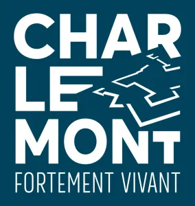 charlemont bloc marque cartouche bleu