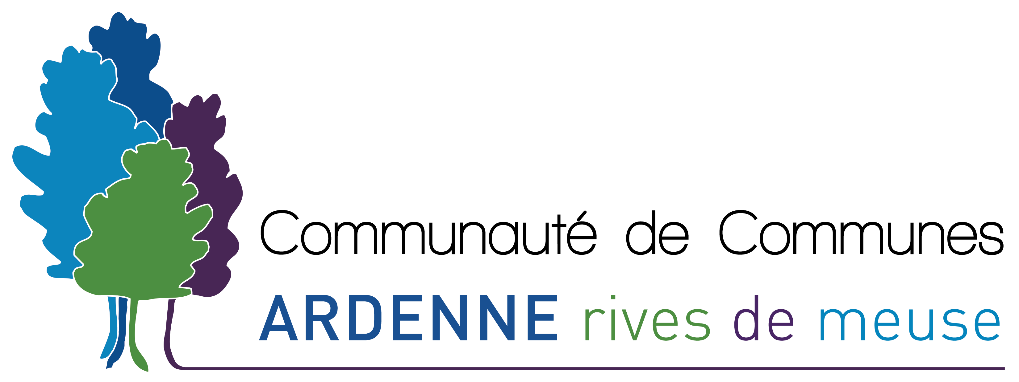 nouveau logo ccarm redesigné en long png