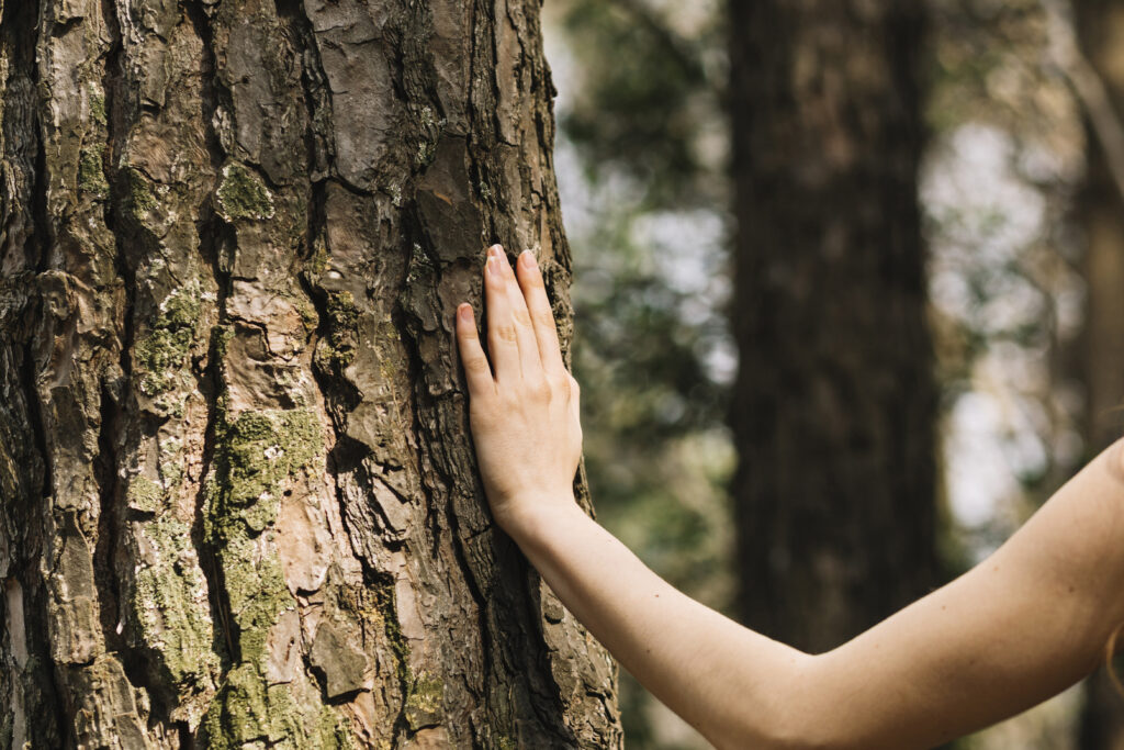 woman touching tree with hand