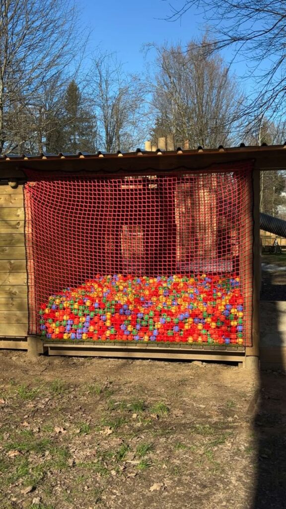 493722097 1595139578096739 6577753385385526818 n