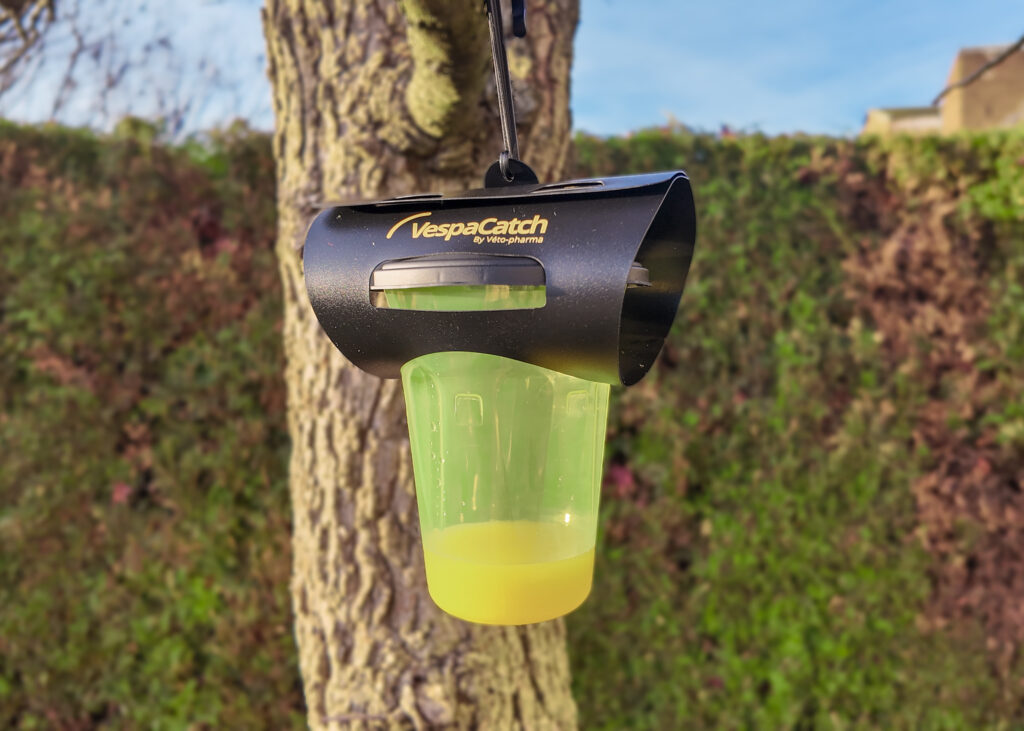 dji 20251209153203 0127 d