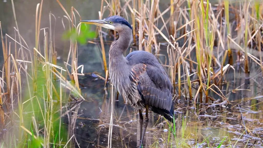 5de491ef a4a8 4a71 aa24 c94d7e046ac1 photo 1701302918988 b9c7a574ed141