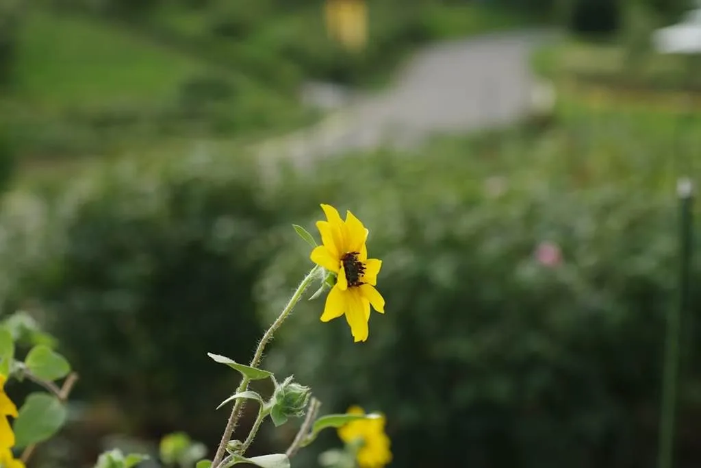 f54e783d 830e 4b4d 8a67 c42d5b8fe2f4 photo 1724502630774 0e842cedd53b